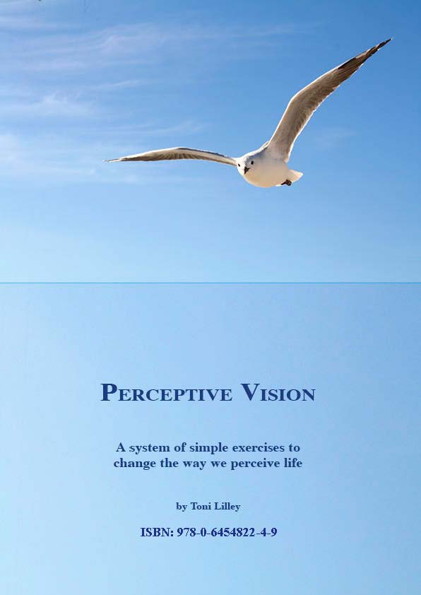 Perceptive Vision