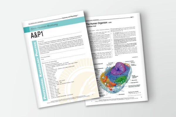 Anatomy & Physiology eCourse